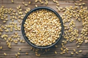 Organic Wheat